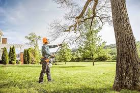 Best Commercial Tree Services  in Frankfort, OH